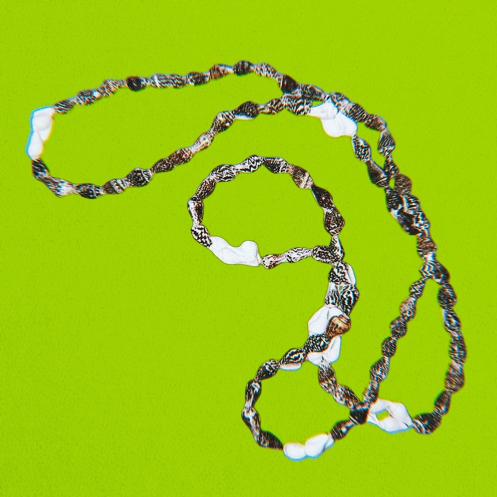 Pre-owned White & Dark Brown Seashell Necklace (16 IN.)